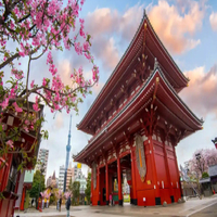 Explore Top Tourist Destinations with Sam Sair